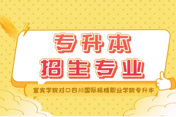 宜宾学院对口四川国际标榜职业学院专升本招生专业