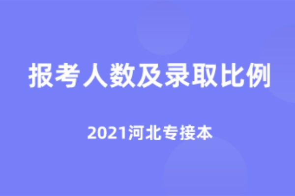 2021河北专接本院校报考人数及录取比例