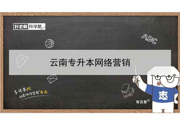 2022年云南网络营销专升本可以报考的本科专业与学校有哪些？