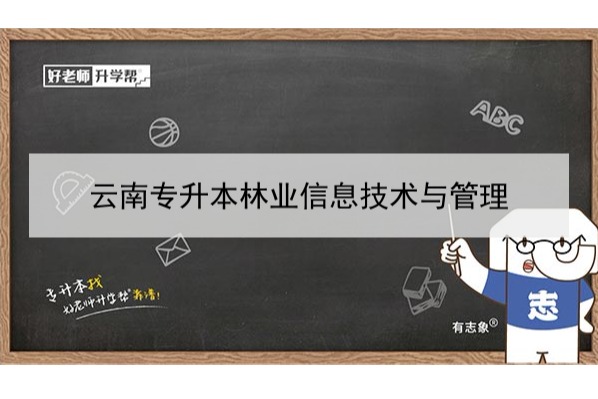 2022年云南专升本林业信息技术与管理可以报考哪些学校和专业?