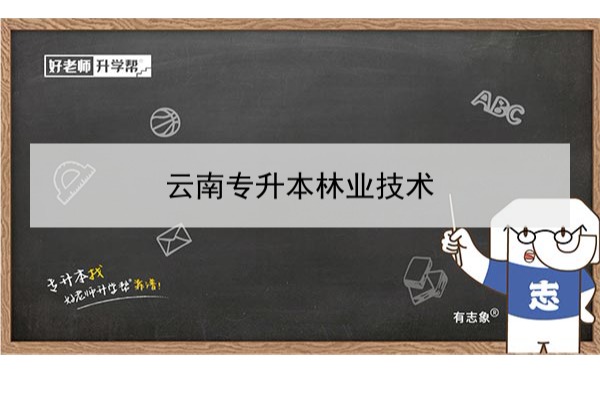 2022年云南專升本林業(yè)技術(shù)可以報(bào)考哪些學(xué)校和專業(yè)?