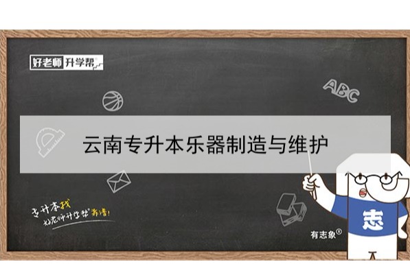 2022年云南專升本樂(lè)器制造與維護(hù)可以報(bào)考哪些學(xué)校和專業(yè)?