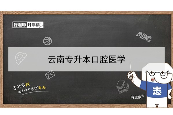 2022年云南專升本口腔醫(yī)學可以報考本科院校及專業(yè)有哪些？