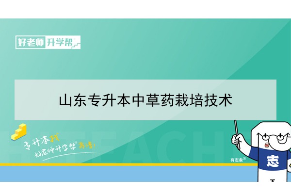 2021年山東專升本中草藥栽培技術(shù)可以報(bào)考哪些本科院校與本科專業(yè)？