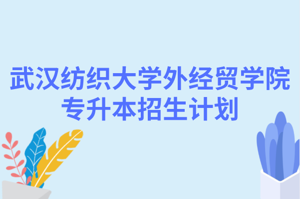 武汉纺织大学外经贸学院专升本招生计划