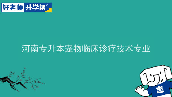 2022年河南专升本宠物临床诊疗技术专业可以报考院校及专业有哪些？