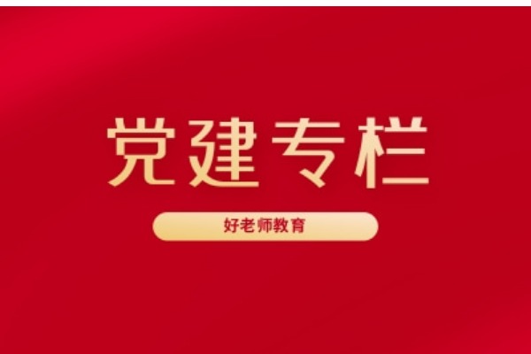 重庆市龙门浩税务党支部与好老师党支部开展“两学一做”结对共建专题教育活动