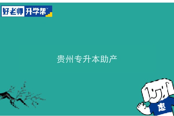 2022年贵州专升本助产专业对照表