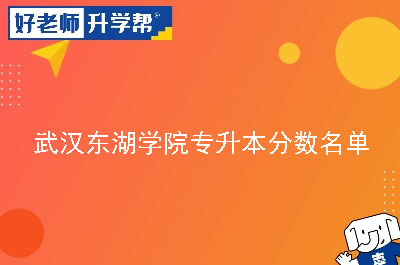 武汉东湖学院专升本分数名单