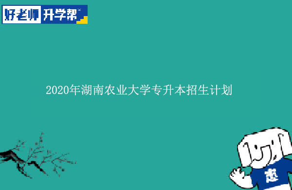 2020年湖南农业大学专升本招生计划
