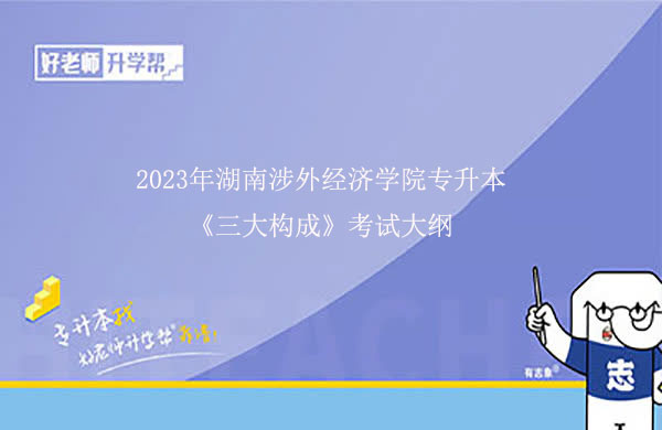 2023年湖南涉外经济学院专升本《三大构成》考试大纲