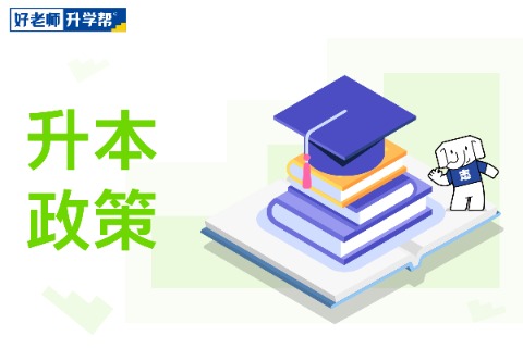 2023年河南省退役大学生士兵专升本政策解答