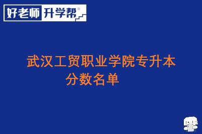武汉工贸职业学院专升本分数名单