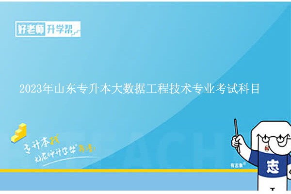 2023年山东专升本大数据工程技术专业考什么？