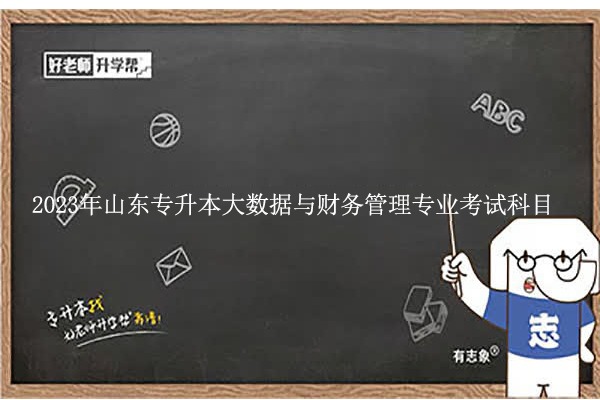 2023年山东专升本大数据与财务管理专业考什么？