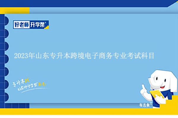 2023年山东专升本跨境电子商务考高数几？