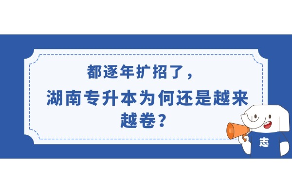 都逐年扩招了，湖南专升本为何还是越来越卷？