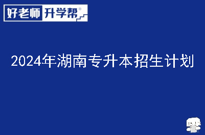 2024年湖南专升本招生计划