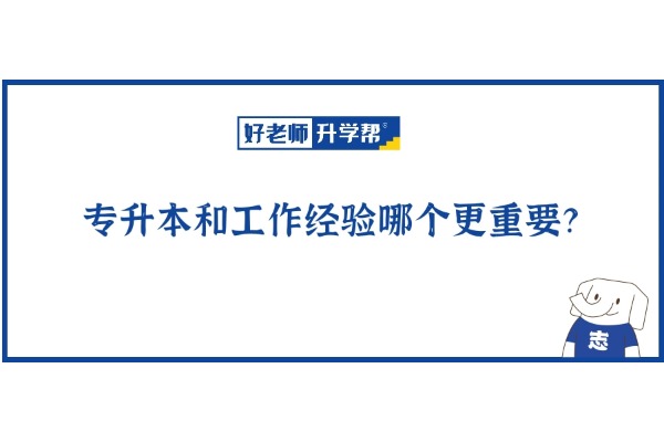 专升本和工作经验哪个更重要？