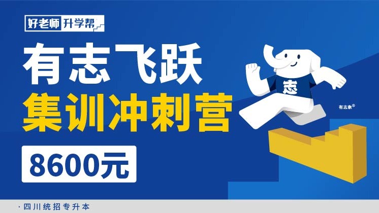 有志飞跃集训冲刺营--四川分校