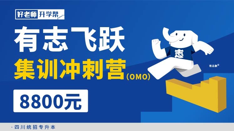 有志飞跃集训冲刺营（OMO）--四川分校