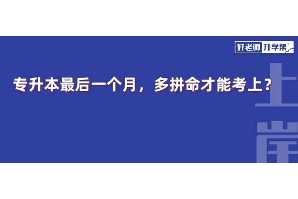 專升本最后一個(gè)月，多拼命才能考上？