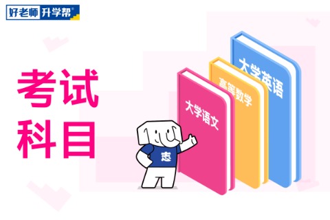 2025年浙江专升本考试科目及分值