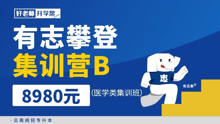 面授班 有志攀登集訓營B（醫(yī)學類集訓班）