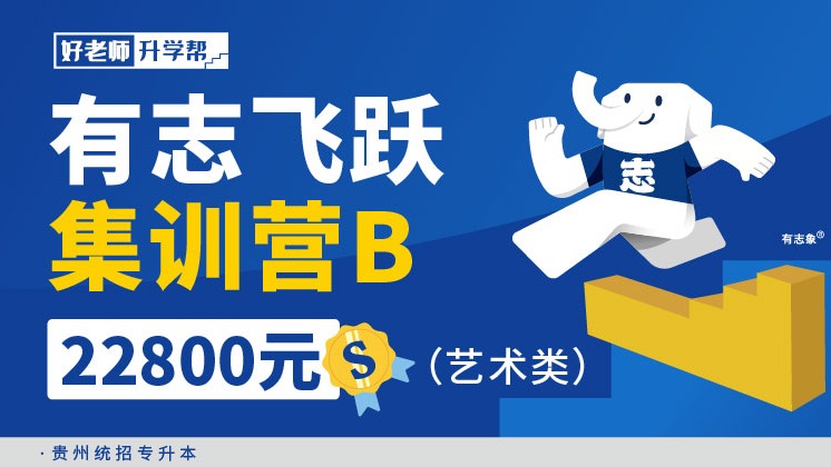 有志飛躍集訓(xùn)營(yíng)B-藝術(shù)類