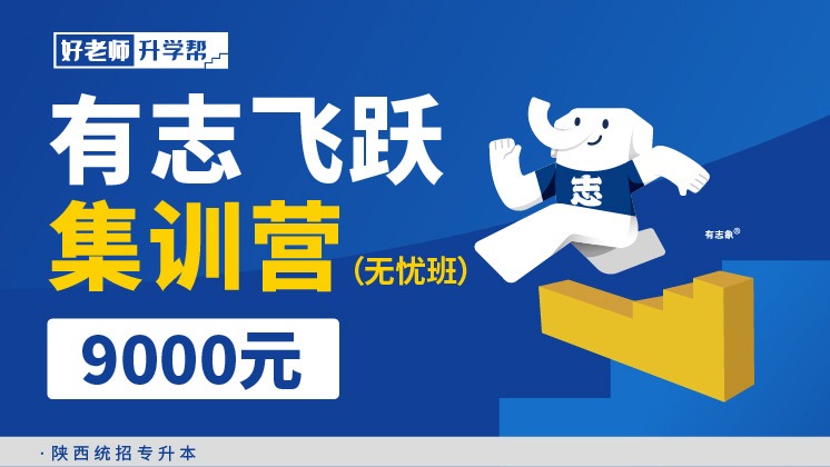 有志飛躍集訓(xùn)營(無憂班) 2.0--陜西分校