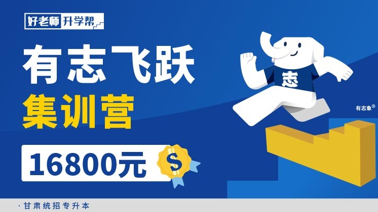 有志飞跃集训营（2024）--甘肃分校