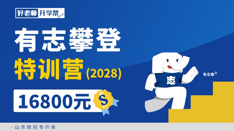 有志攀登特训营（2028）--山东分校