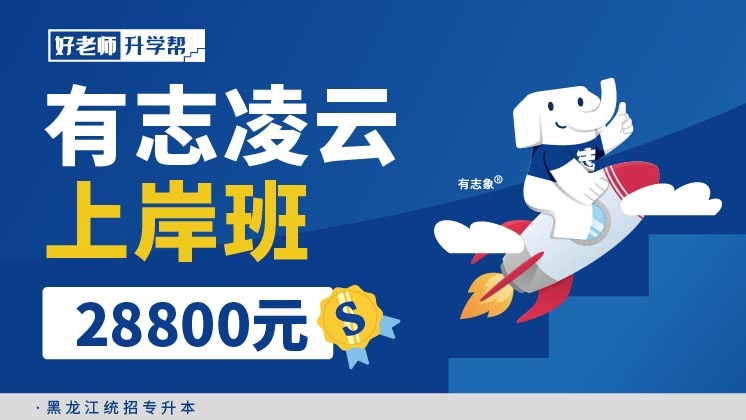 有志凌云上岸班