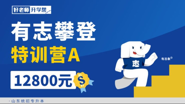 有志攀登特训营A（2024）--山东分校