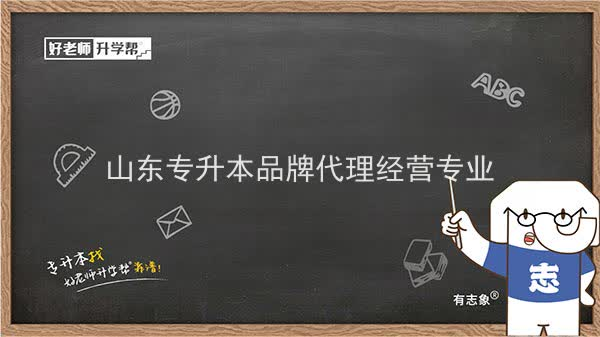 2022年山东专升本品牌代理经营专业可以报考本科院校及专业汇总一览表