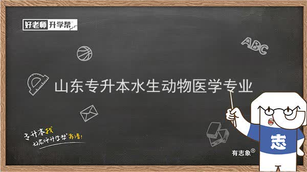 2022年山东专升本水生动物医学专业可以报考本科院校及专业汇总一览表