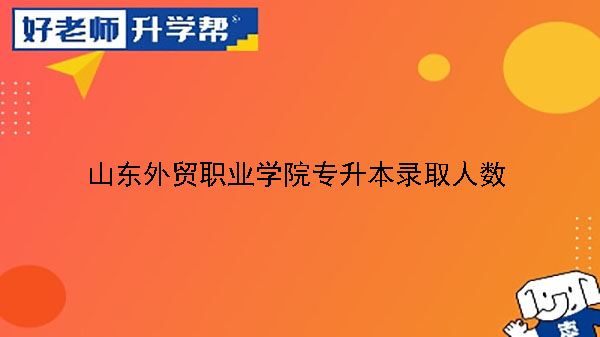 2020年山东外贸职业学院国际运输与物流系专升本录取人数