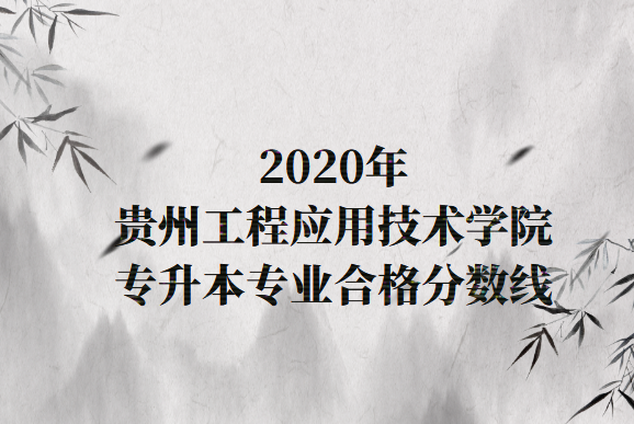 贵州工程应用技术学院专升本专业合格分数线