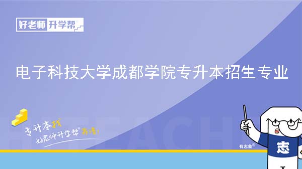 2024年电子科技大学成都学院专升本招生专业